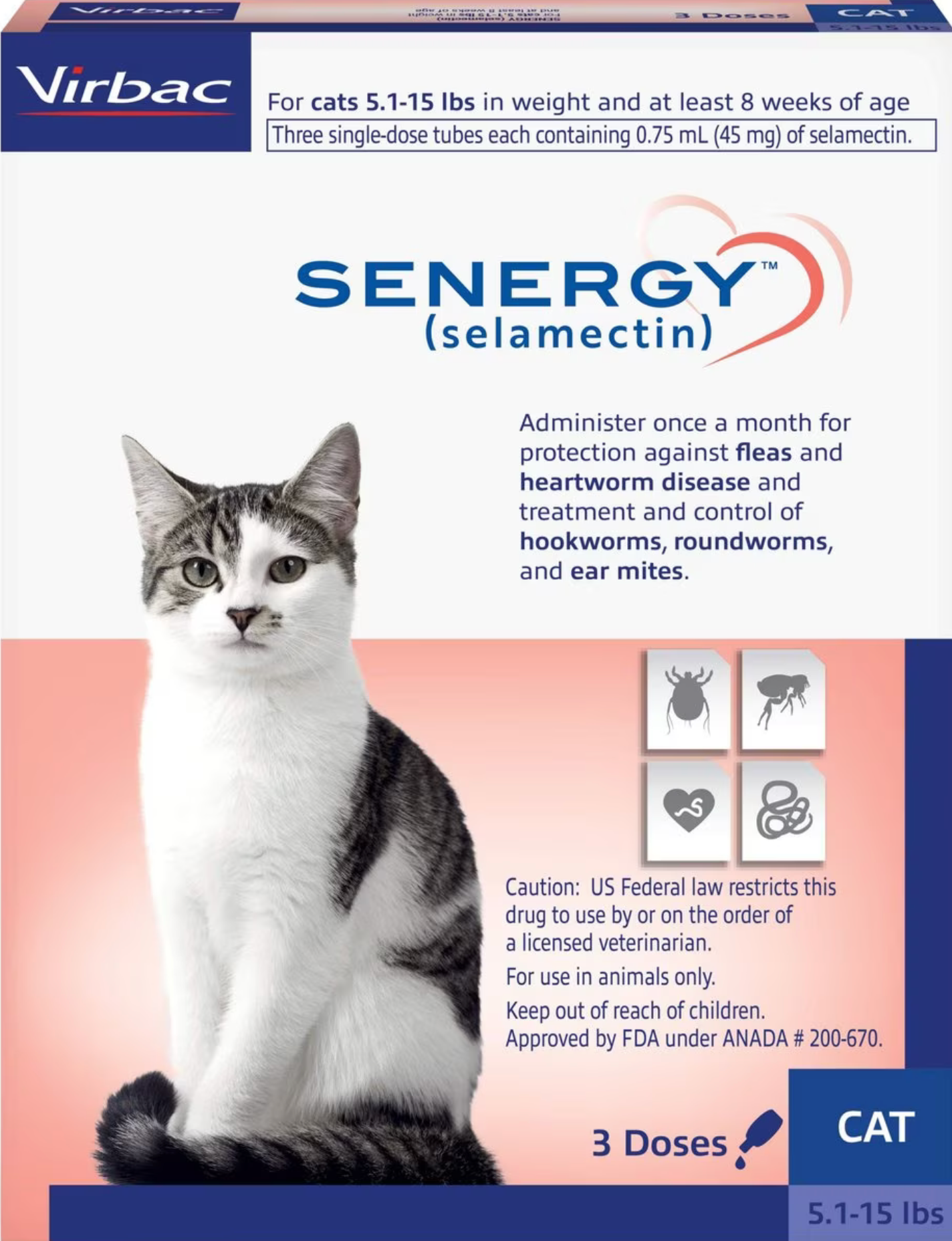 Senergy