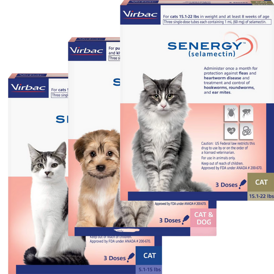 Senergy