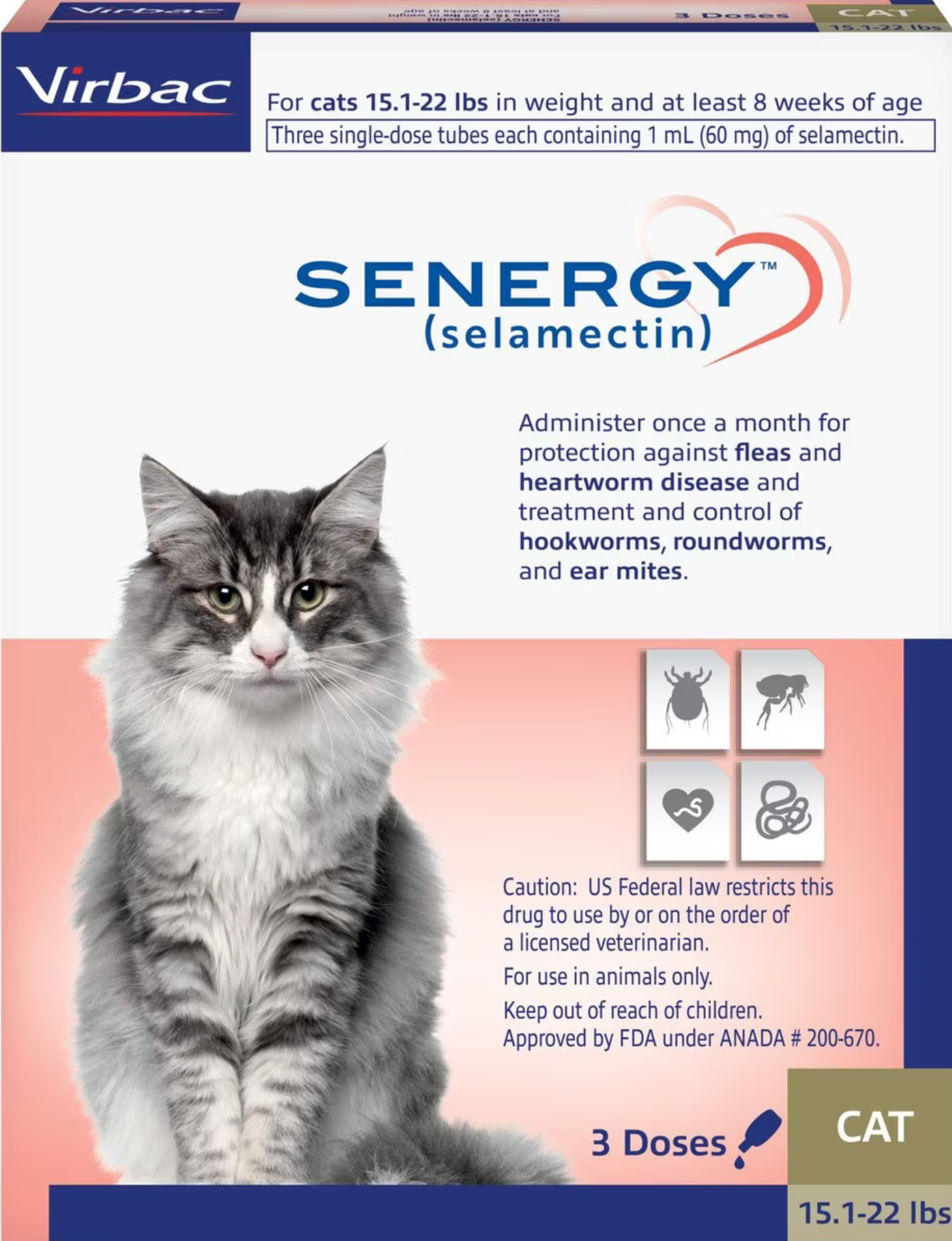 Senergy